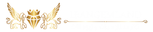 لوگوی ایران جم لند